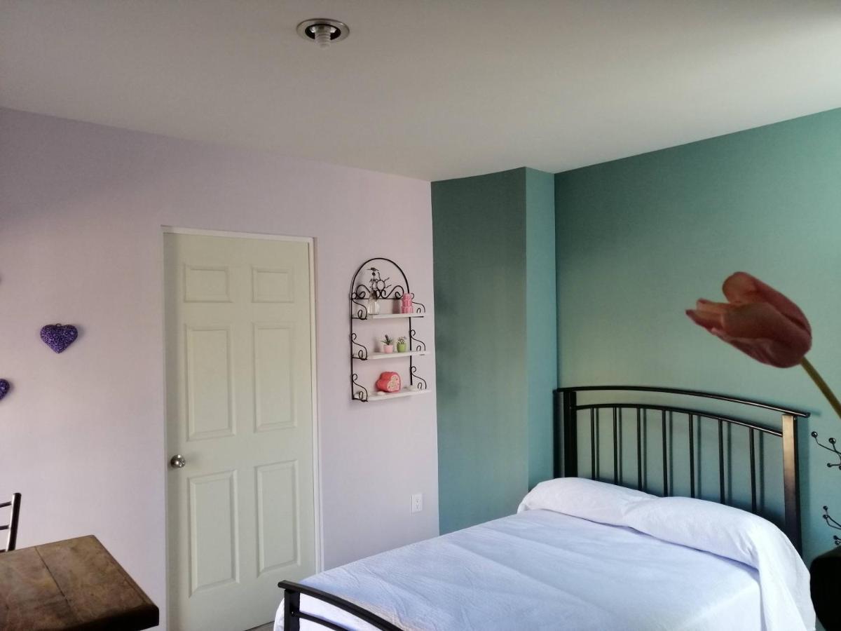 Casa Nikte Apartment ซากาเตกัส ภายนอก รูปภาพ